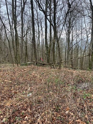0 Talley Top Trl, Huntland, TN 37345