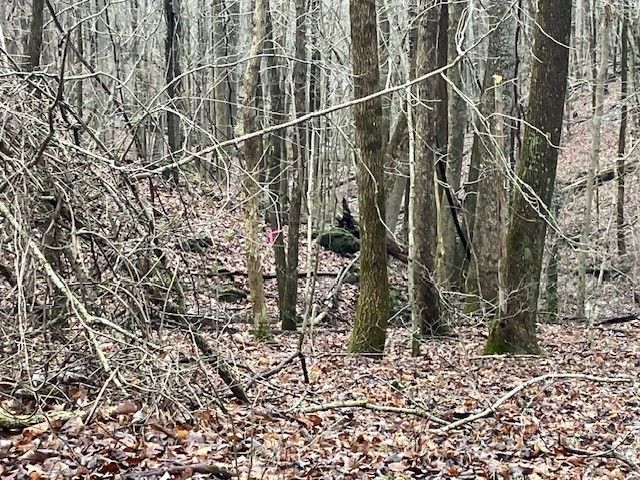 0 Talley Top Trl, Huntland, TN 37345