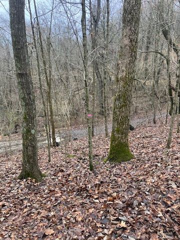 0 Talley Top Trl, Huntland, TN 37345