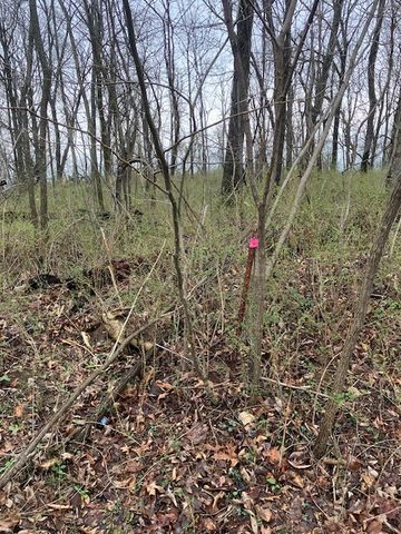 0 Talley Top Trl, Huntland, TN 37345