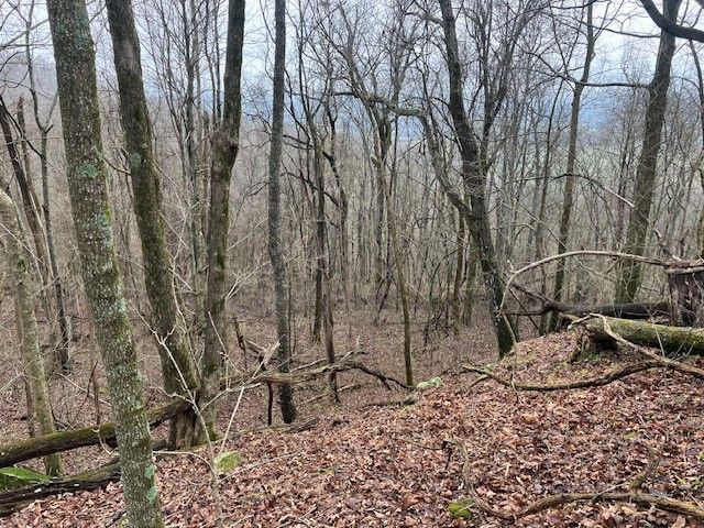0 Talley Top Trl, Huntland, TN 37345