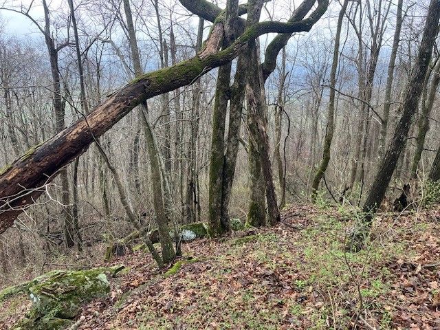 0 Talley Top Trl, Huntland, TN 37345