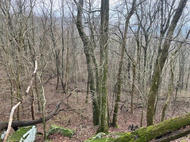 0 Talley Top Trl, Huntland, TN 37345