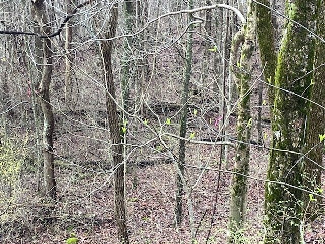 0 Talley Top Trl, Huntland, TN 37345
