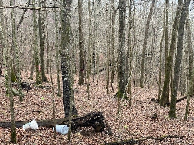 0 Talley Top Trl, Huntland, TN 37345