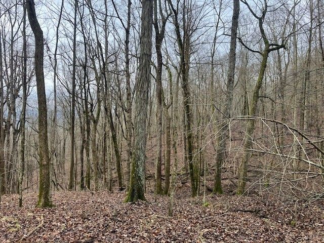 0 Talley Top Trl, Huntland, TN 37345