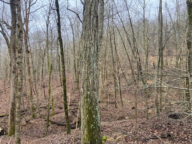 0 Talley Top Trl, Huntland, TN 37345