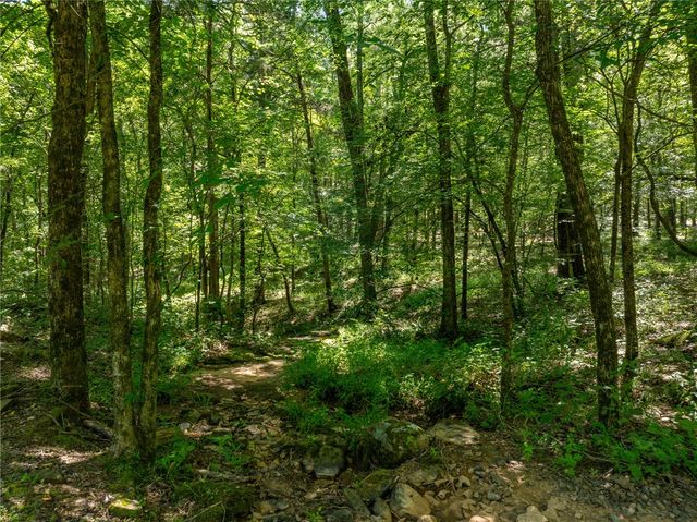 5724 County Road 3451, Clarksville, AR 72830