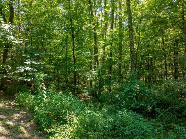 5724 County Road 3451, Clarksville, AR 72830