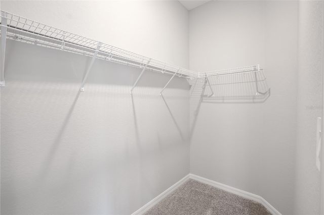 2646 SCENIC PARK LOOP, Wimauma, FL 33598