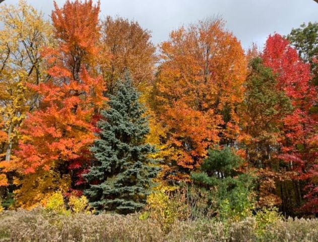 N423 SANDHILL COURT, Fremont, WI 54940