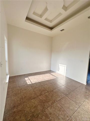 311 E Teodora Drive, Rio Grande City, TX 78582