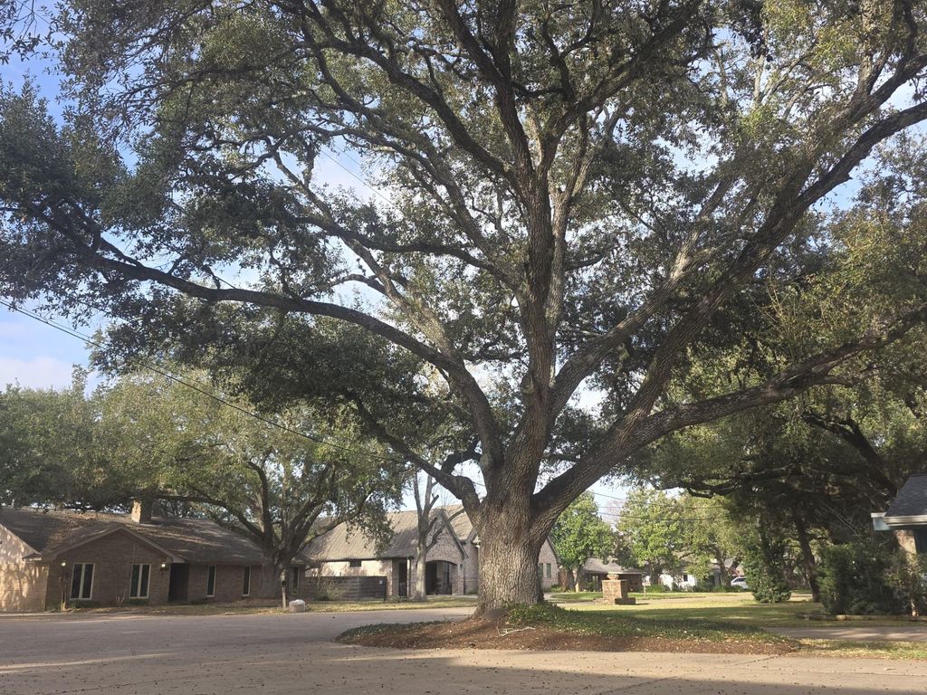 Image 9 of property listing at 802 San Marino Street, Sugar Land, TX 77478