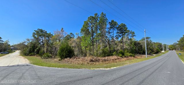 0 Ruffed Grouse Road, Weeki Wachee, FL 34614