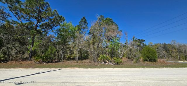 0 Ruffed Grouse Road, Weeki Wachee, FL 34614