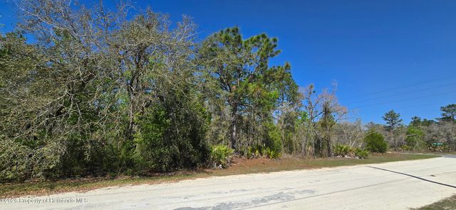 0 Ruffed Grouse Road, Weeki Wachee, FL 34614