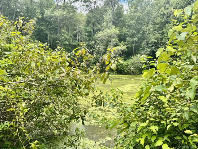 64 Homestead Lane, Otisville, NY 10963