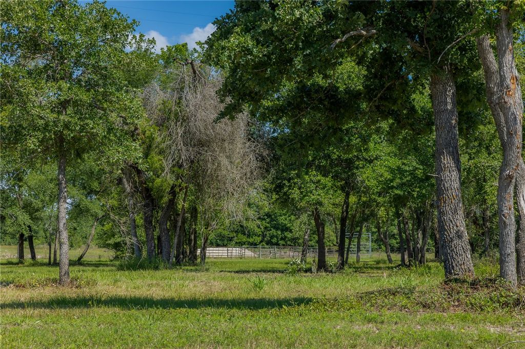 6705 Atakapan Trail, Bedias, TX 77831 — exterior