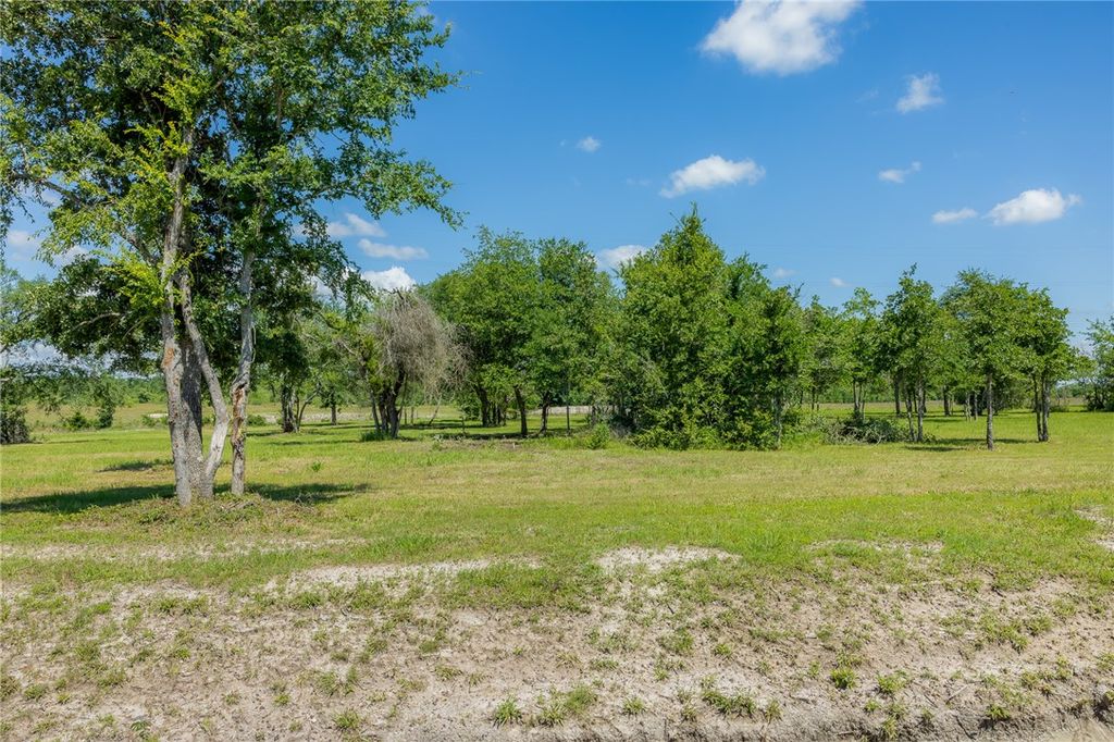 6705 Atakapan Trail, Bedias, TX 77831 — photo 2