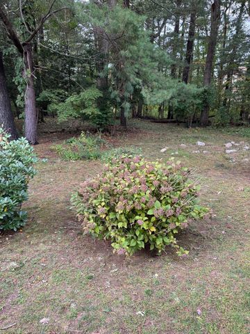 9 Joal Ave, Walpole, MA 02081