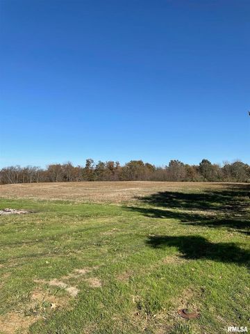 17726 N Quiet Acres Road, Scheller, IL 62884