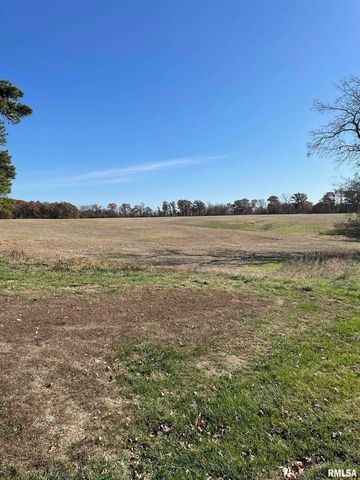 17726 N Quiet Acres Road, Scheller, IL 62884