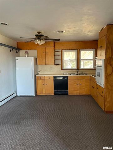 17726 N Quiet Acres Road, Scheller, IL 62884