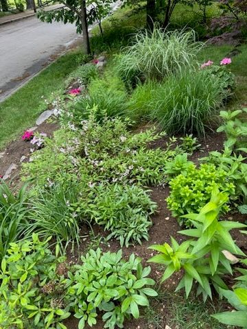 29 Shawmut Terrace, Framingham, MA 01702