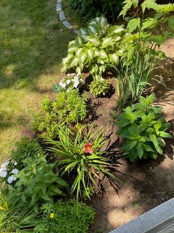 29 Shawmut Terrace, Framingham, MA 01702