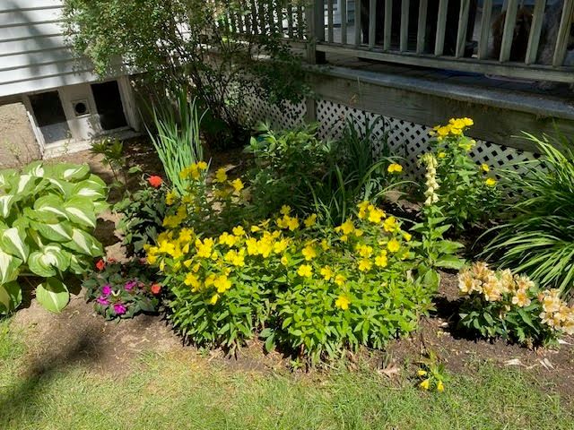 29 Shawmut Terrace, Framingham, MA 01702