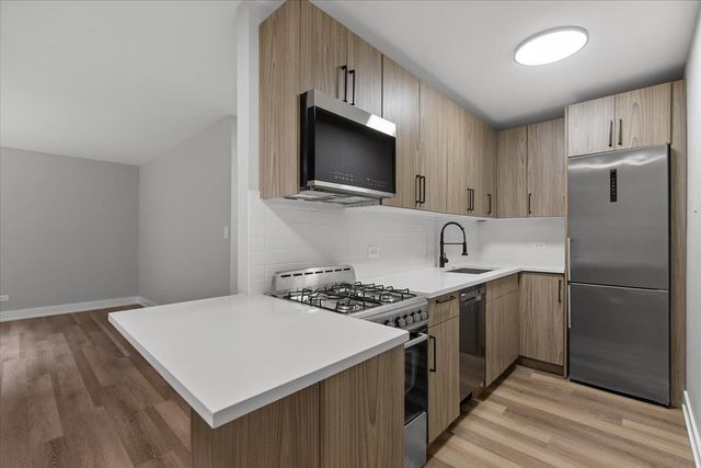 541 W OAKDALE Avenue 221, Chicago, IL 60657