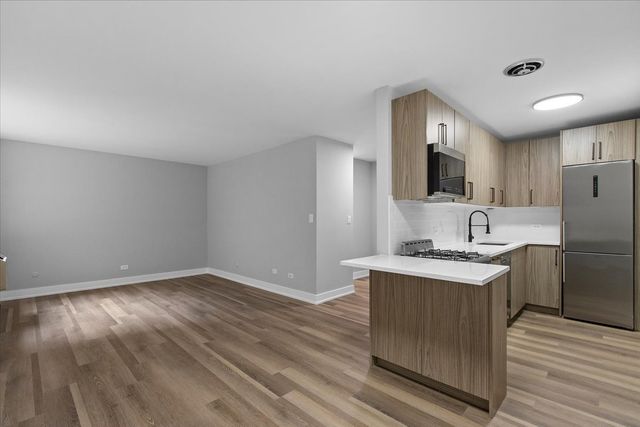 541 W OAKDALE Avenue 221, Chicago, IL 60657