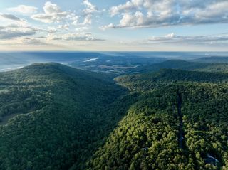 1 Three Forks Rd, South Pittsburg, TN 37380