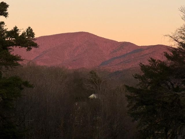 441 Brookhaven Drive, Chatsworth, GA 30705