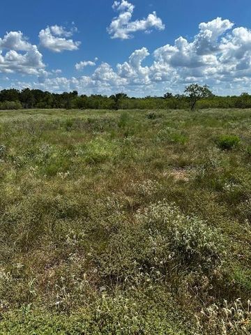 Lot 4 County Road 420, Waelder, TX 78959