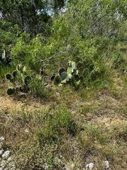 Lot 4 County Road 420, Waelder, TX 78959