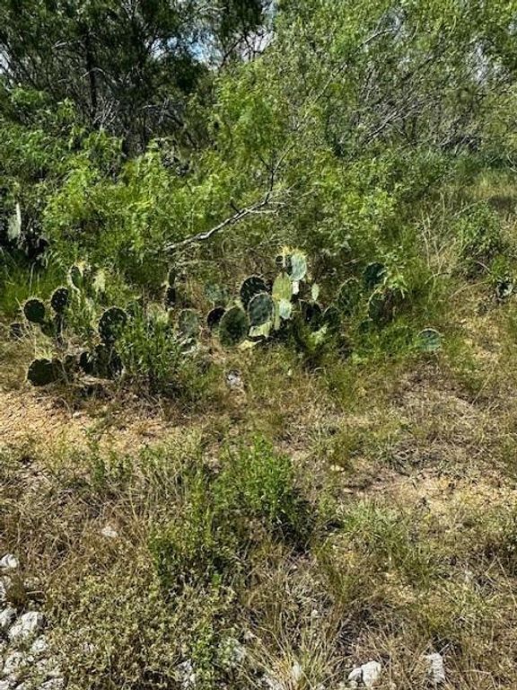 Lot 4 County Road 420, Waelder, TX 78959