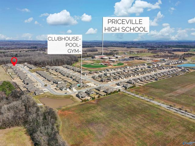 372 Willow Bank Circle, Decatur, AL 35603