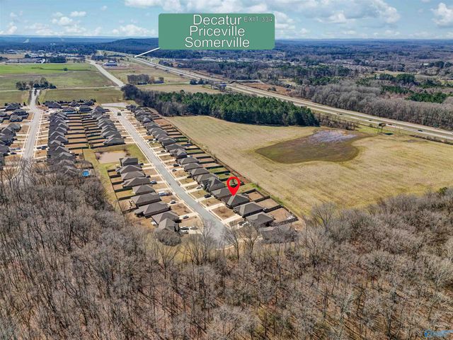 372 Willow Bank Circle, Decatur, AL 35603