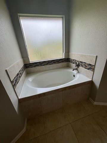 16118 Blue Mesa Ridge Drive, Friendswood, TX 77546