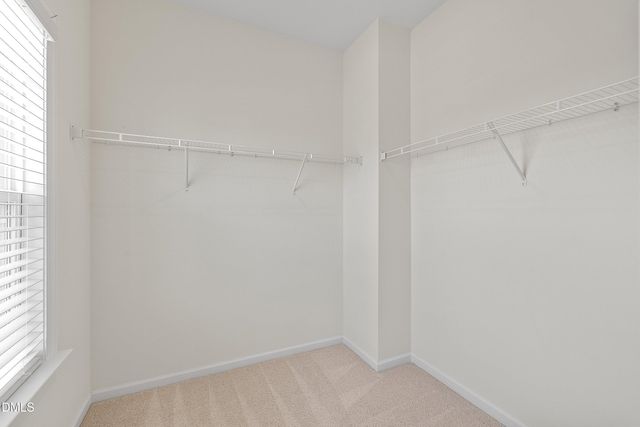417 Porterfield Drive, Youngsville, NC 27596