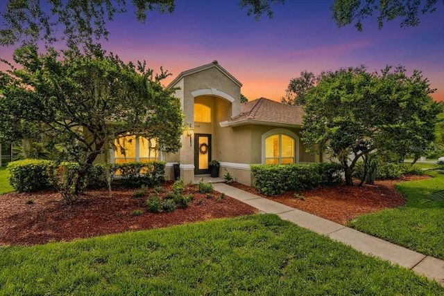 5539 AVENUE DU SOLEIL, Lutz, FL 33558