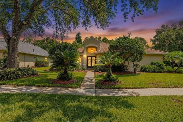5539 AVENUE DU SOLEIL, Lutz, FL 33558