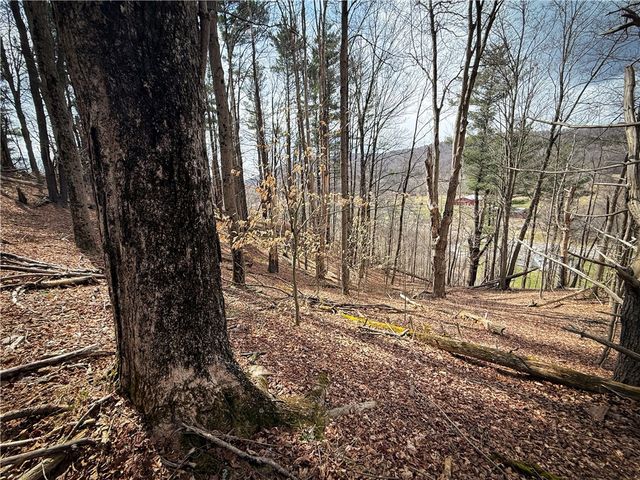 1801 Pennsylvania Avenue, Southport, NY 14871