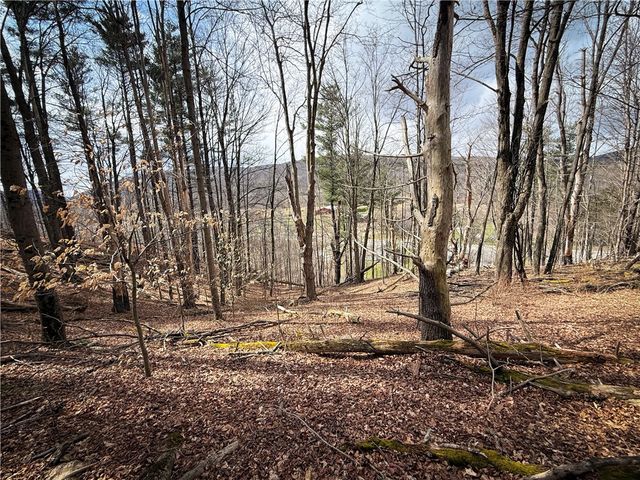 1801 Pennsylvania Avenue, Southport, NY 14871