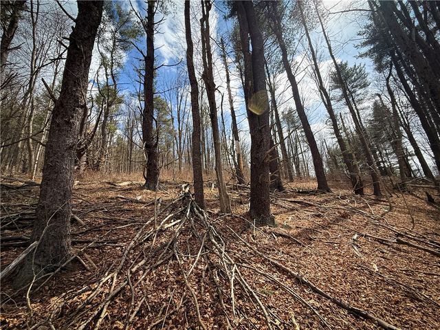 1801 Pennsylvania Avenue, Southport, NY 14871