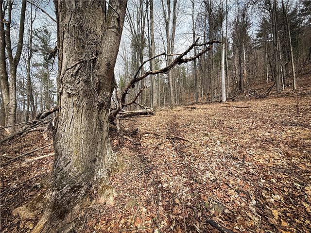 1801 Pennsylvania Avenue, Southport, NY 14871