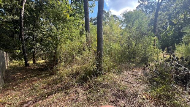 1112 Columbia River Rd, Conroe, TX 77316