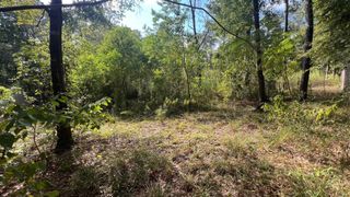 1112 Columbia River Rd, Conroe, TX 77316
