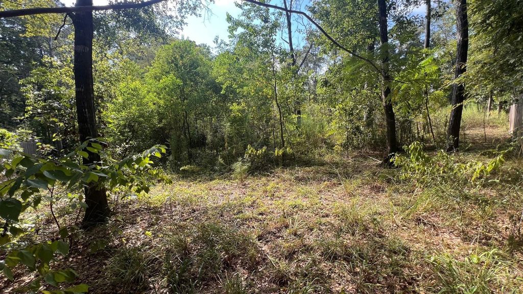 1112 Columbia River Rd, Conroe, TX 77316